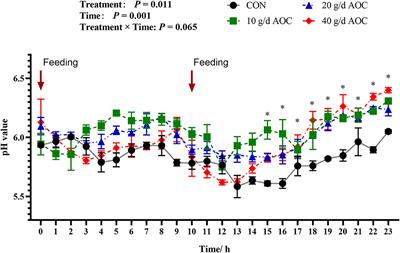 Supplementation of Aspergillus oryzae Culture Improved the Feed Dry Matter Digestibility and the Energy Supply of Total Volatile Fatty Acid Concentrations in the Rumen of Hu Sheep